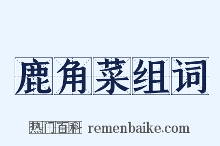 鹿角菜组词是什么意思的图片